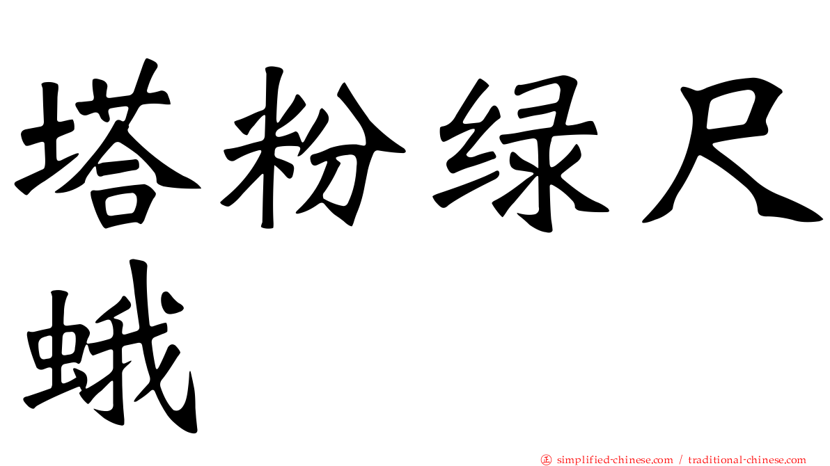 塔粉绿尺蛾