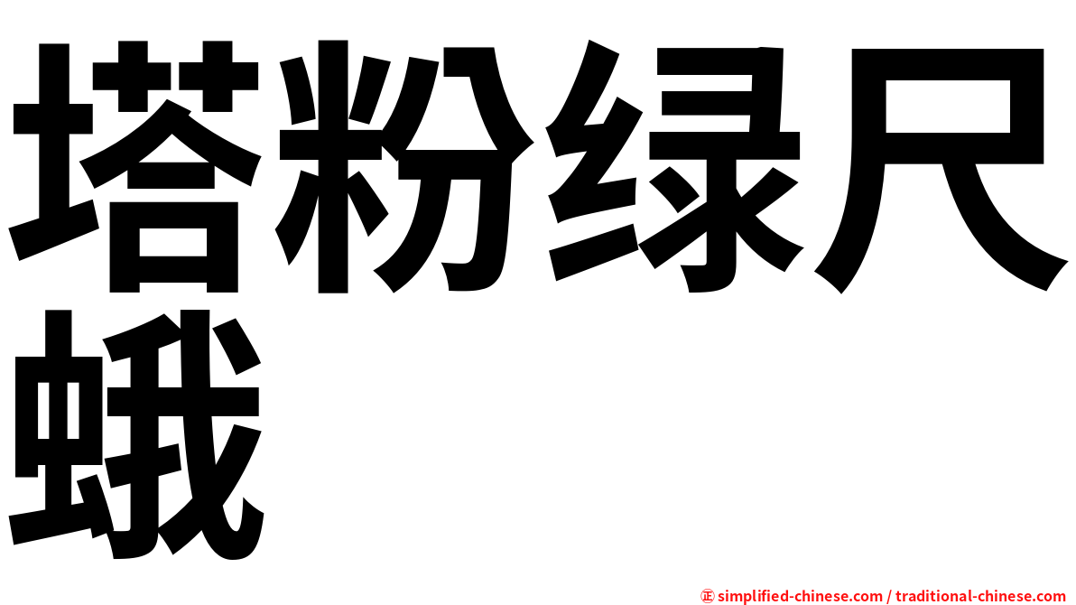 塔粉绿尺蛾