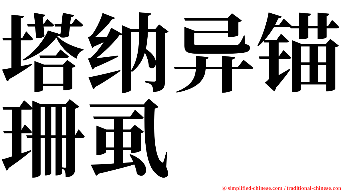 塔纳异锚珊虱 serif font