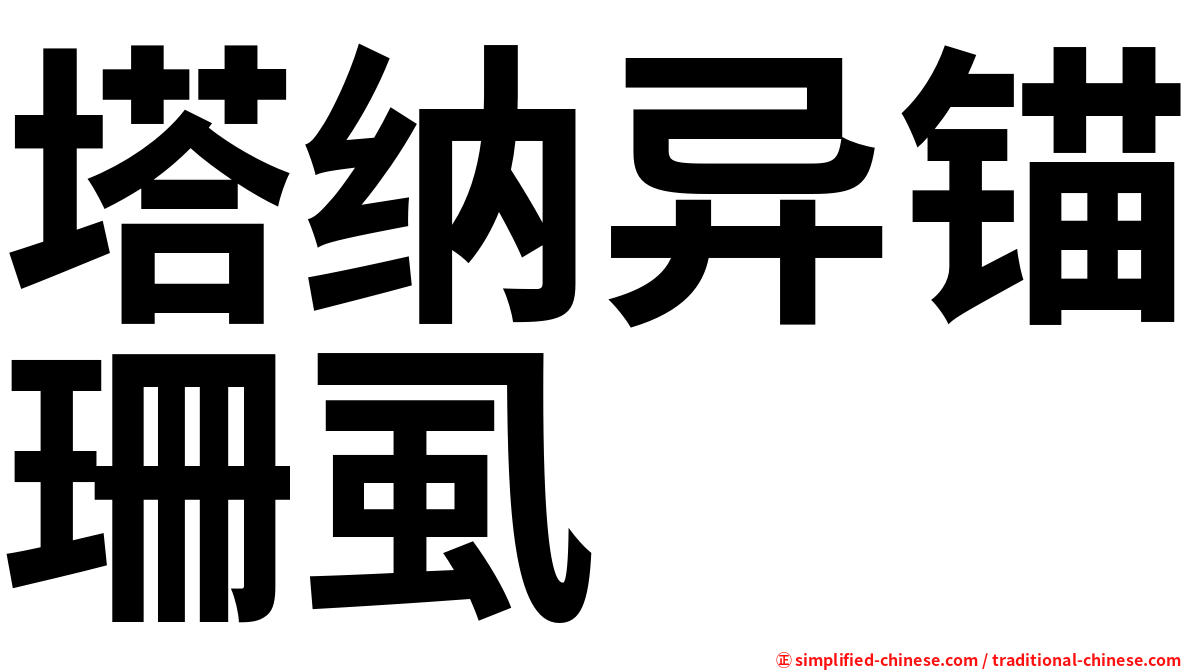 塔纳异锚珊虱