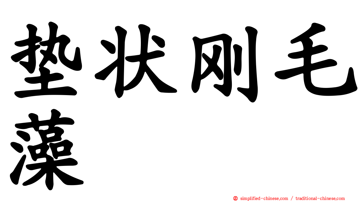 垫状刚毛藻