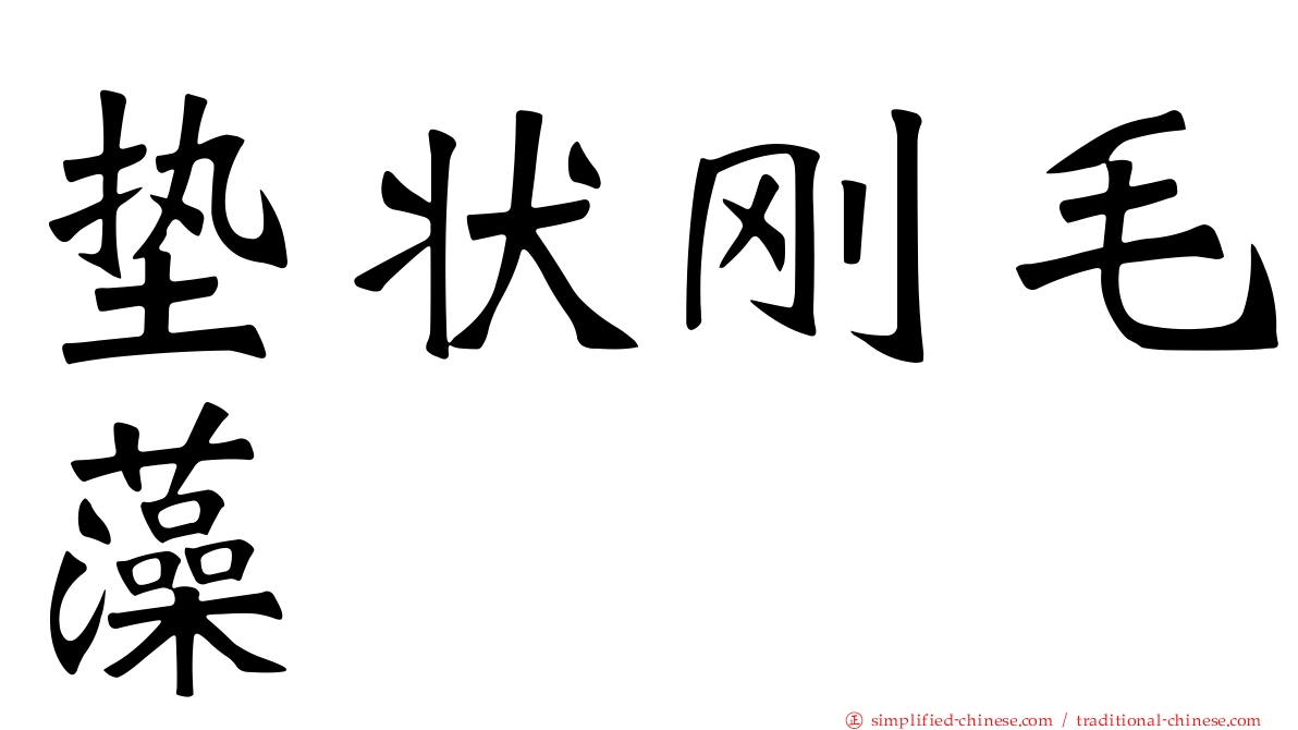 垫状刚毛藻