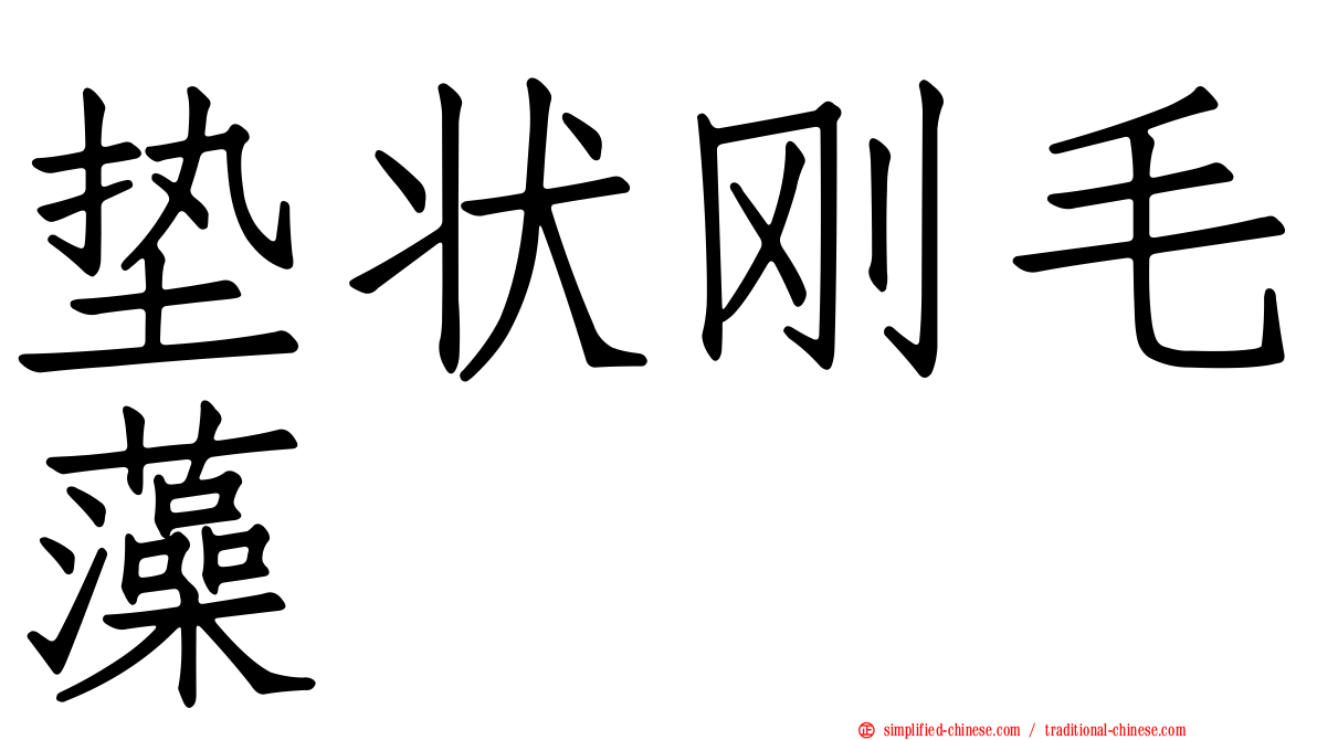 垫状刚毛藻