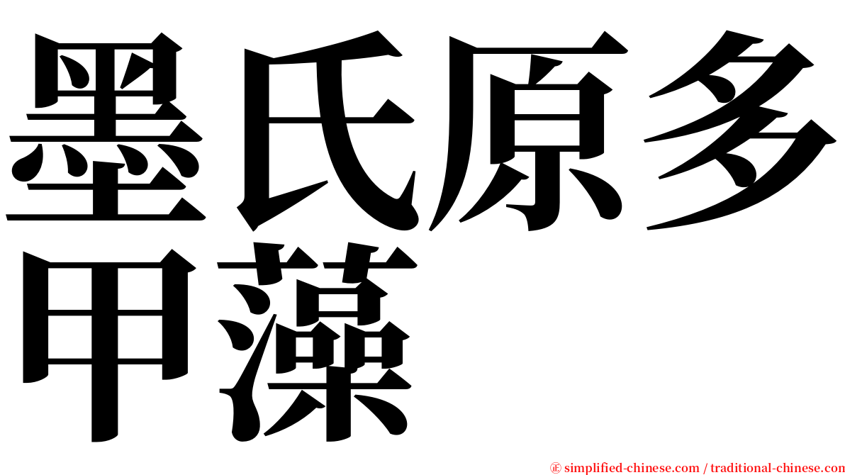 墨氏原多甲藻 serif font