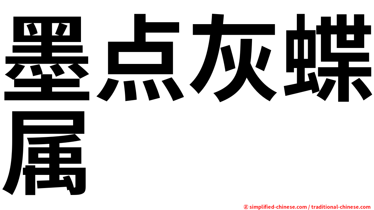 墨点灰蝶属