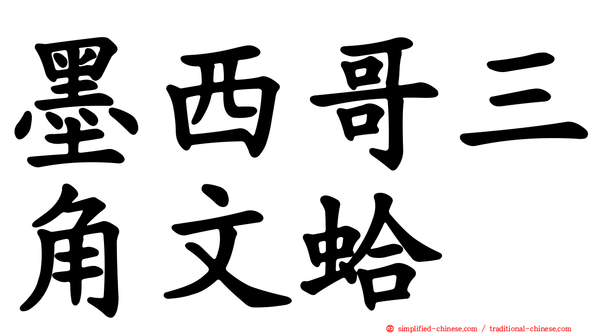 墨西哥三角文蛤