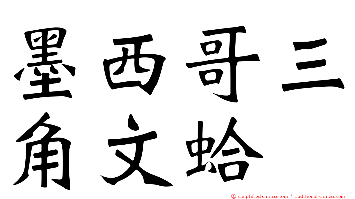 墨西哥三角文蛤