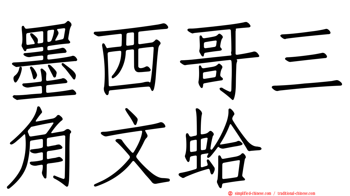 墨西哥三角文蛤