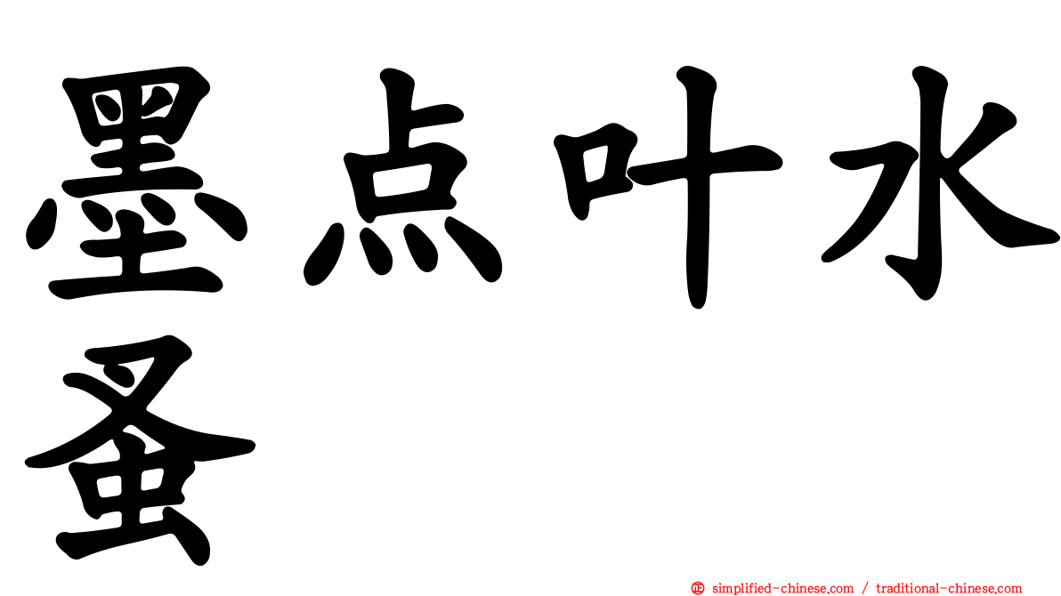 墨点叶水蚤