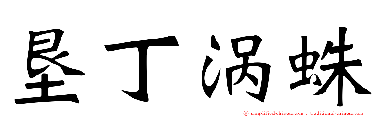 垦丁涡蛛
