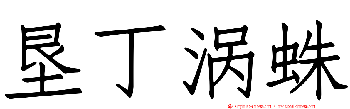 垦丁涡蛛
