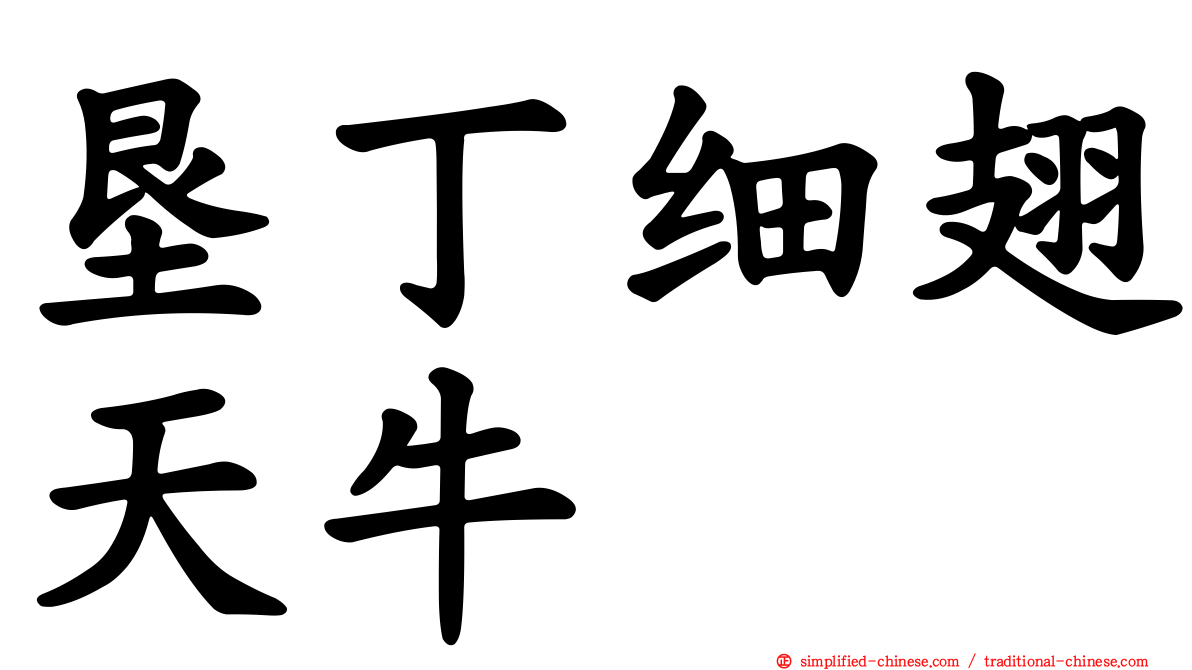 垦丁细翅天牛