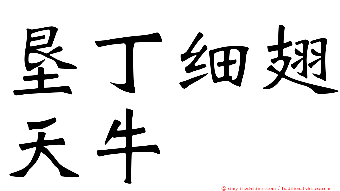 垦丁细翅天牛