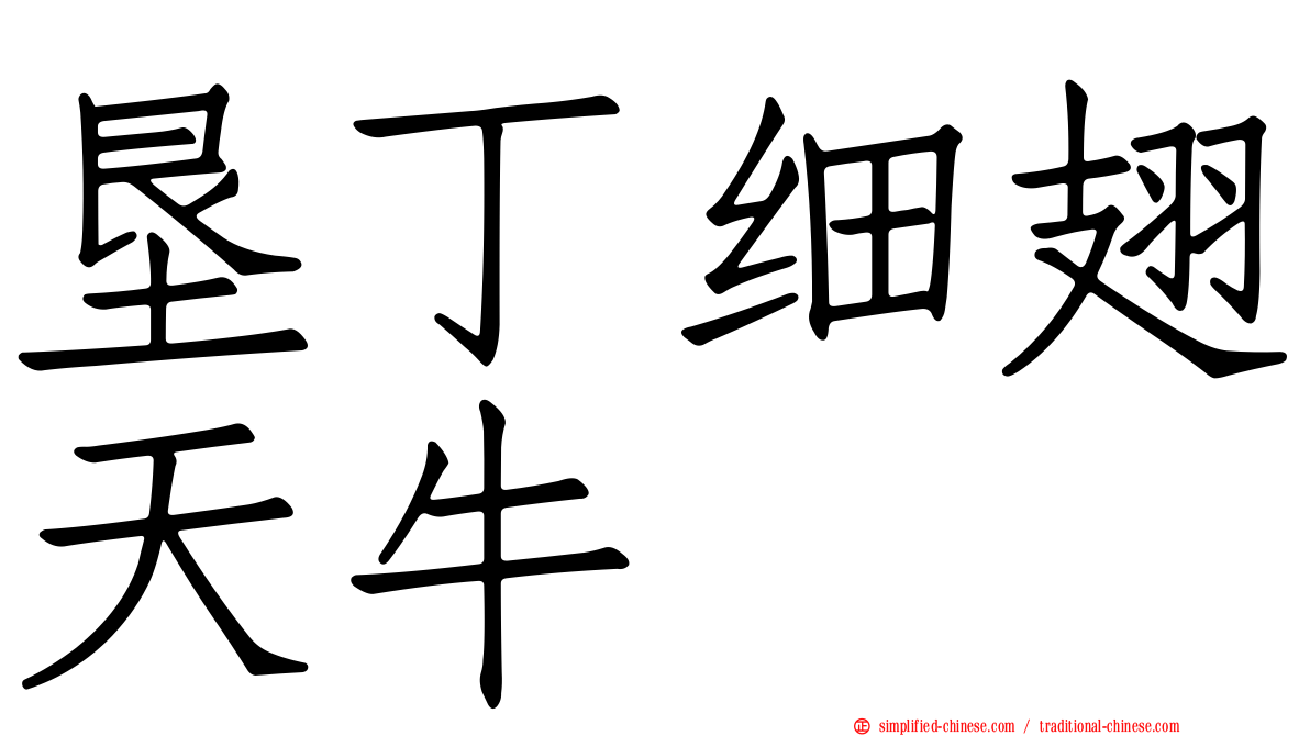 垦丁细翅天牛