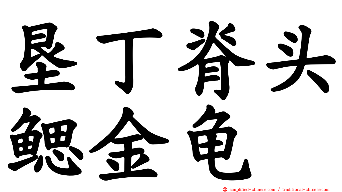 垦丁脊头鳃金龟