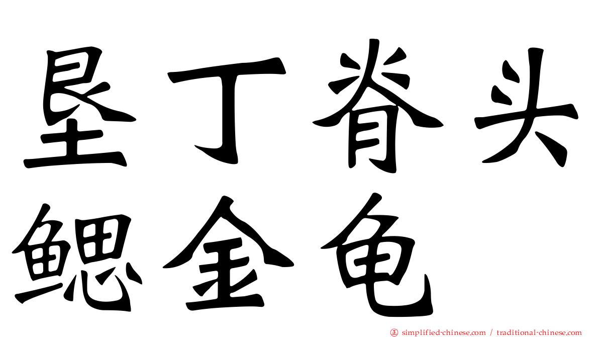 垦丁脊头鳃金龟
