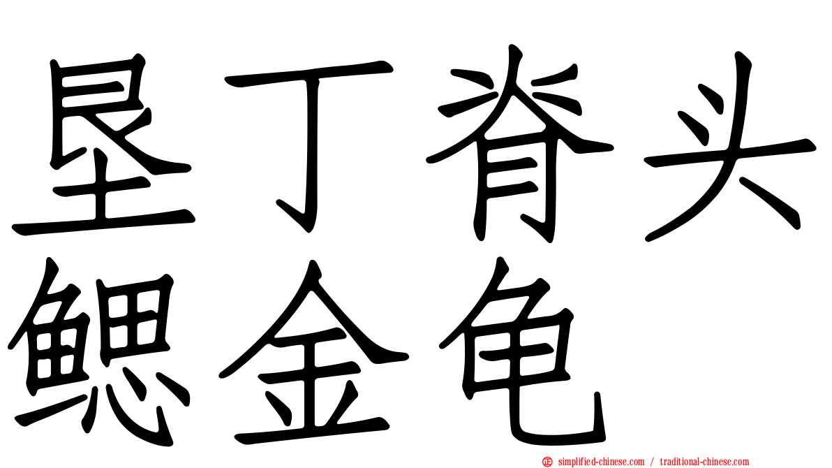 垦丁脊头鳃金龟