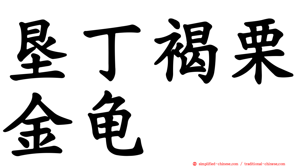 垦丁褐栗金龟