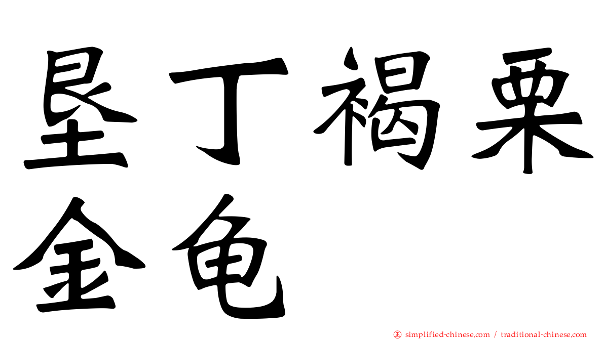 垦丁褐栗金龟