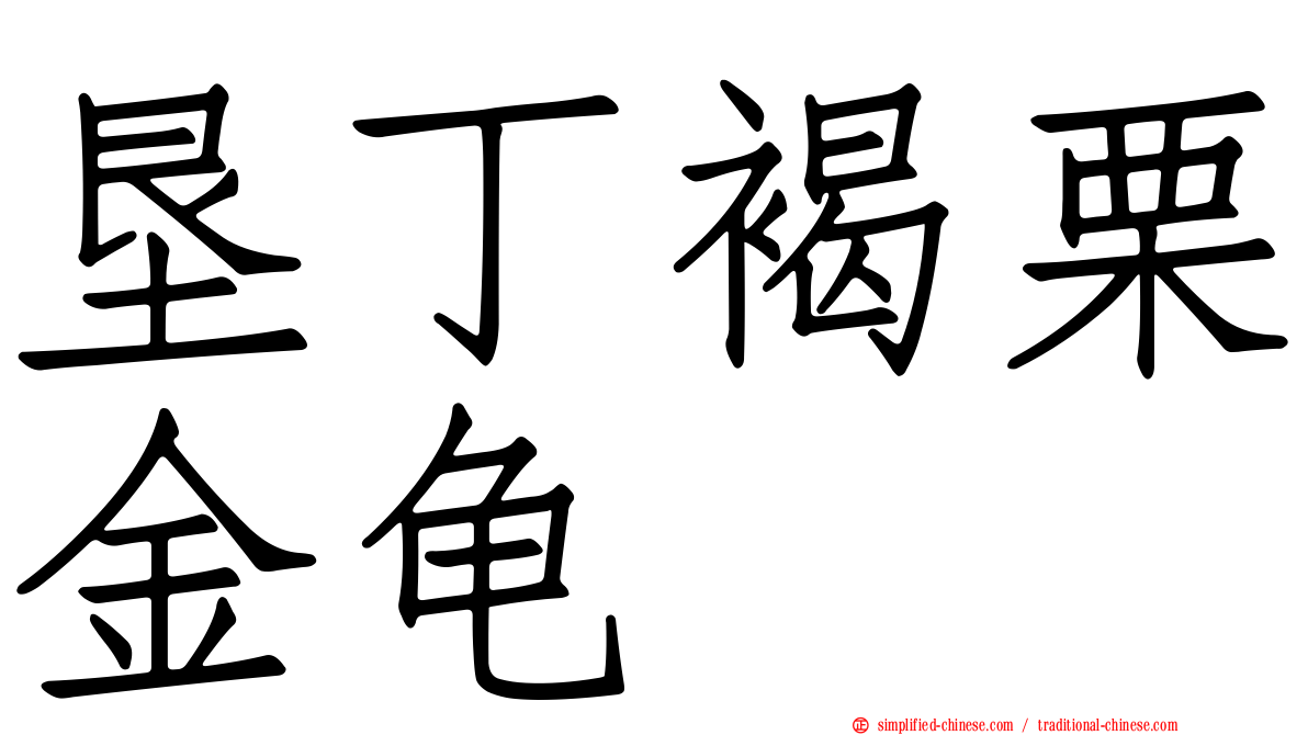 垦丁褐栗金龟