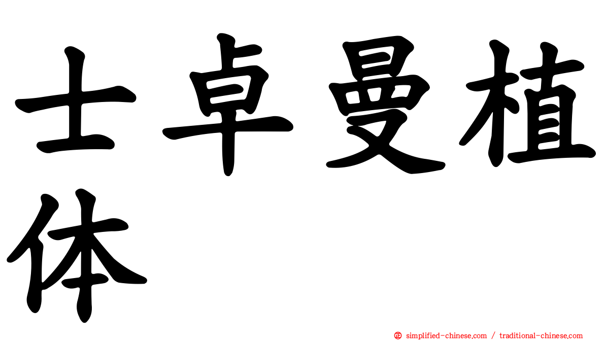 士卓曼植体