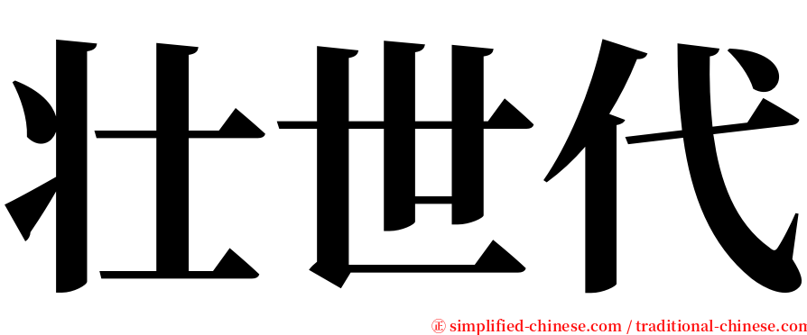 壮世代 serif font