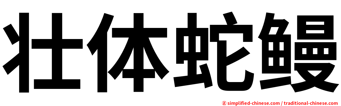 壮体蛇鳗