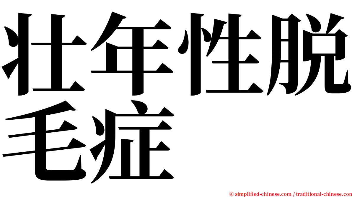 壮年性脱毛症 serif font