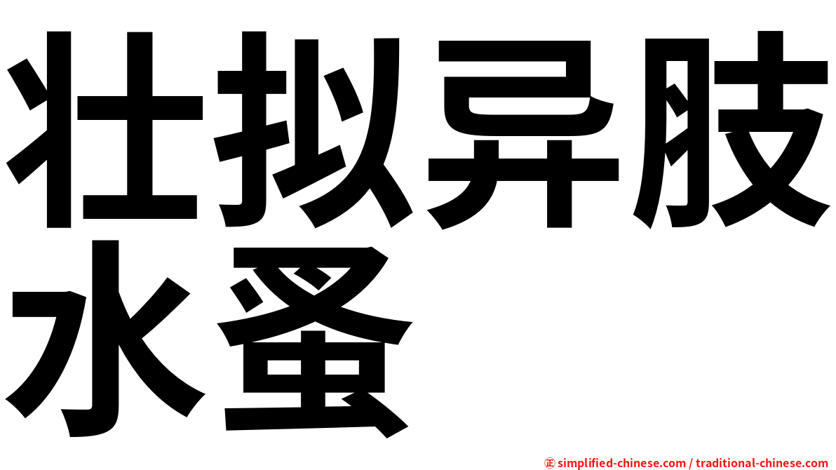 壮拟异肢水蚤