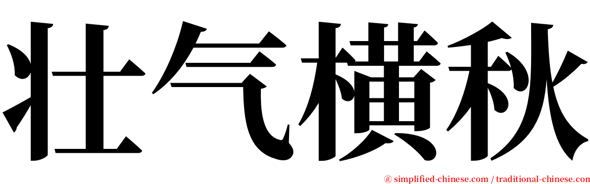 壮气横秋 serif font