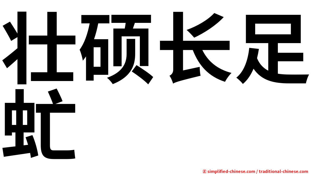 壮硕长足虻