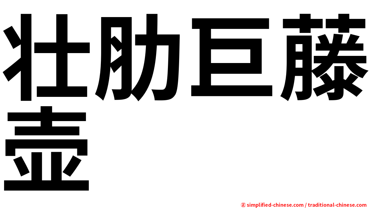 壮肋巨藤壶