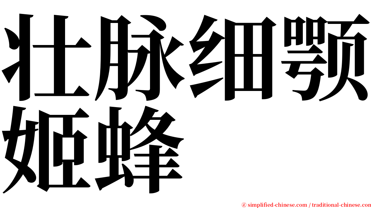 壮脉细颚姬蜂 serif font