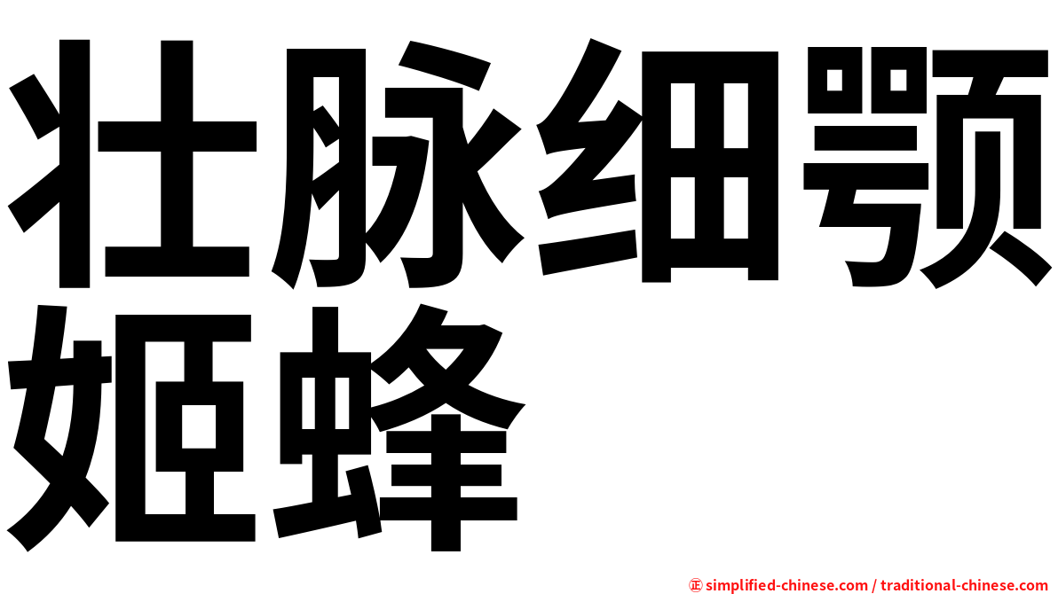壮脉细颚姬蜂