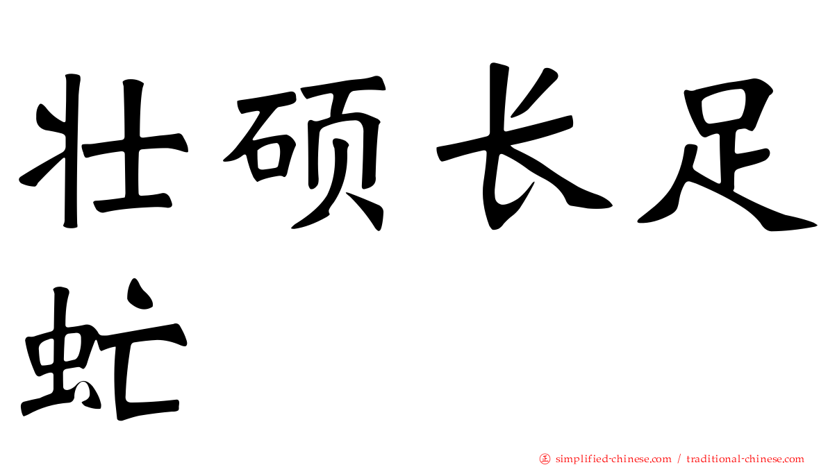 壮硕长足虻
