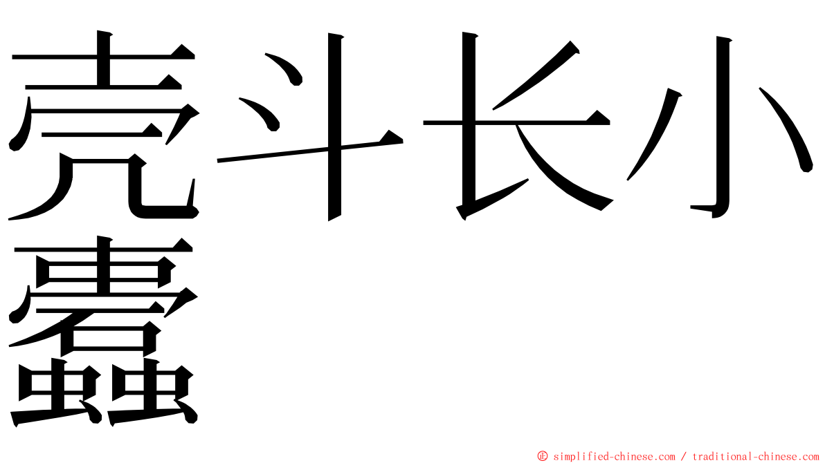 壳斗长小蠹 ming font