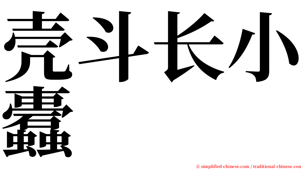 壳斗长小蠹 serif font