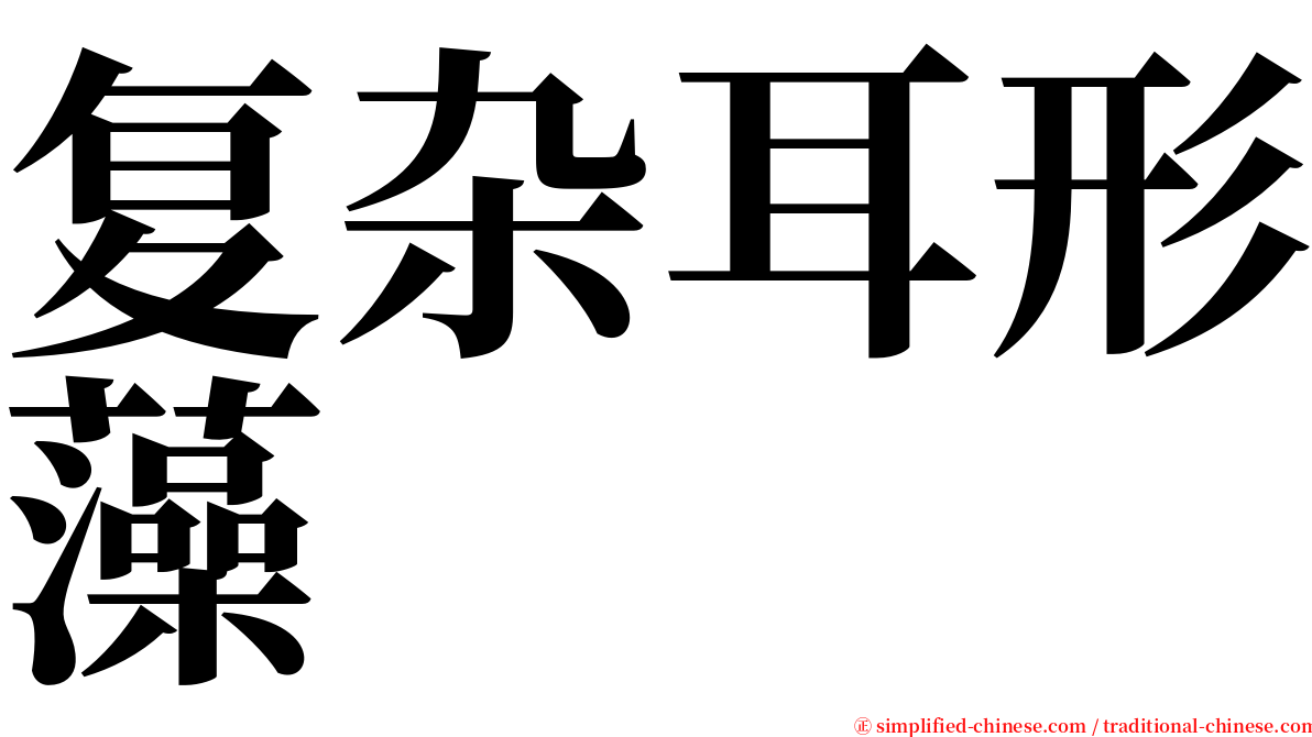 复杂耳形藻 serif font