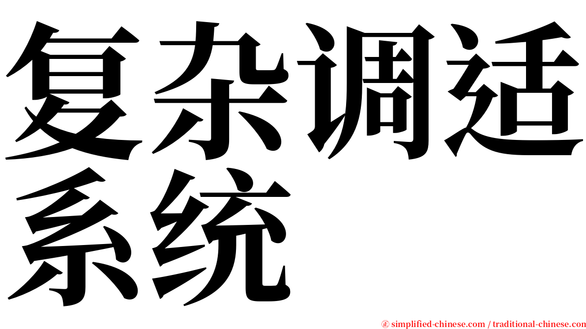 复杂调适系统 serif font