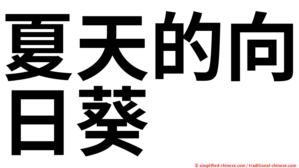 夏天的向日葵