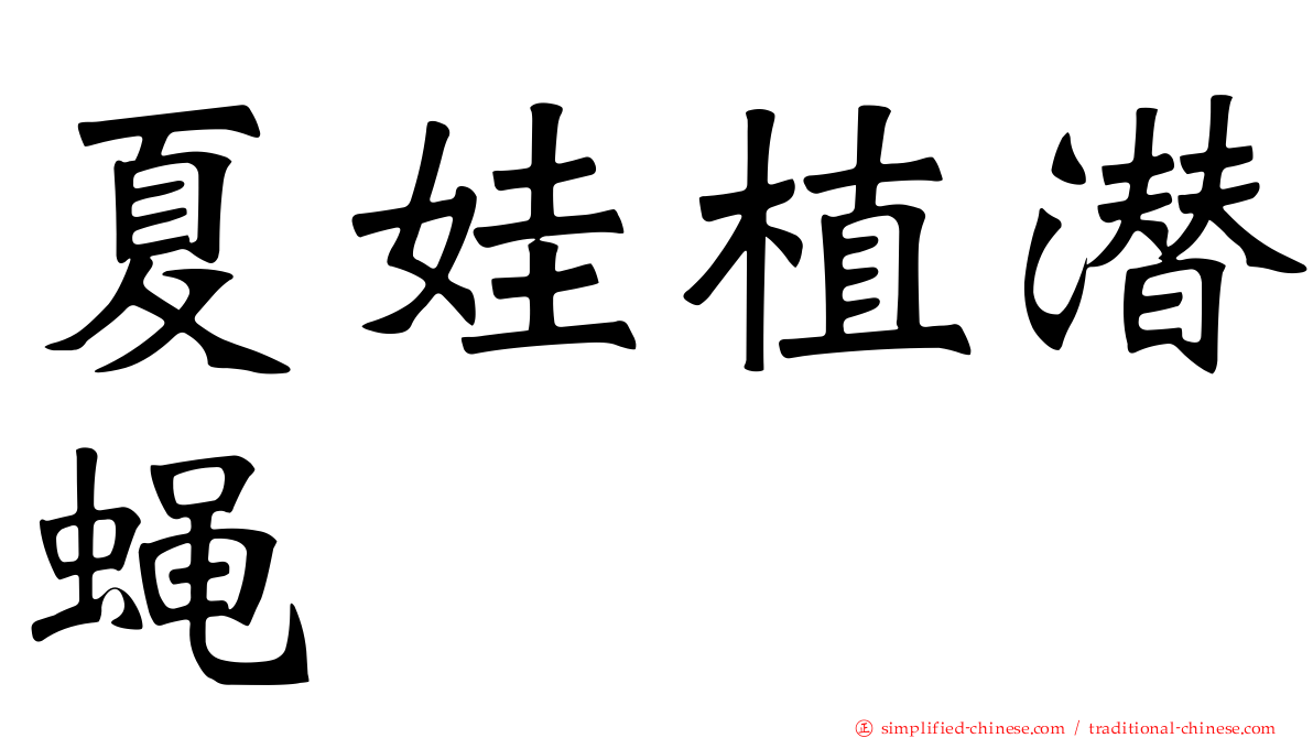夏娃植潜蝇