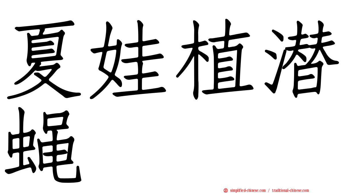 夏娃植潜蝇
