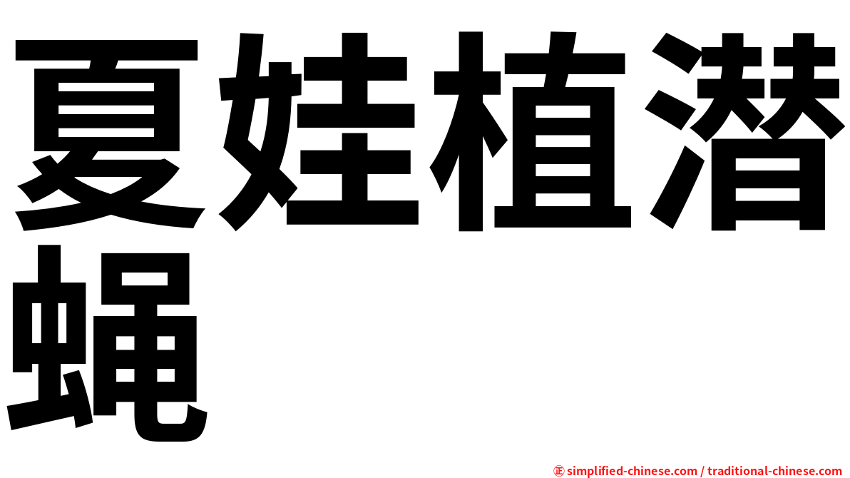 夏娃植潜蝇