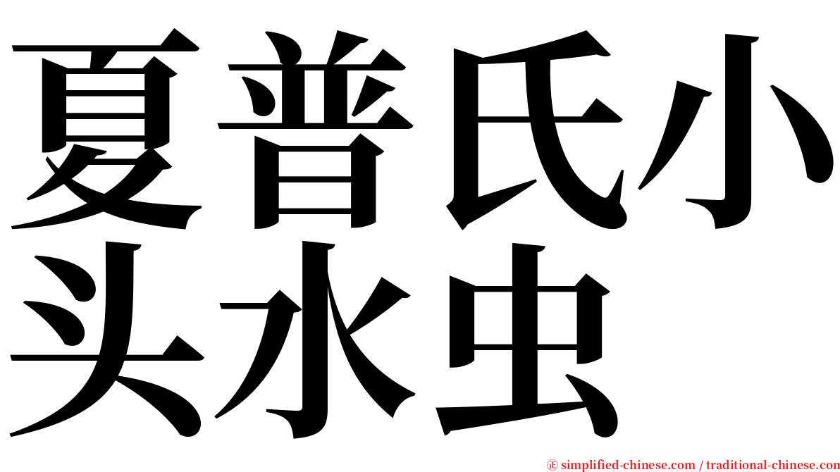 夏普氏小头水虫 serif font