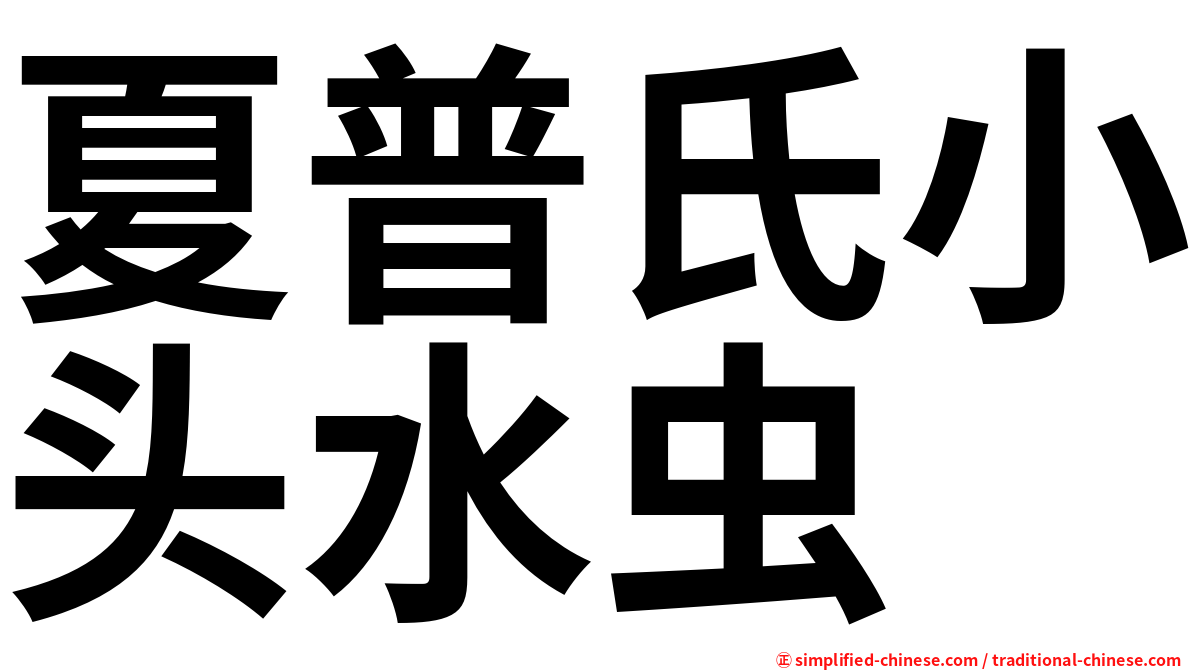 夏普氏小头水虫