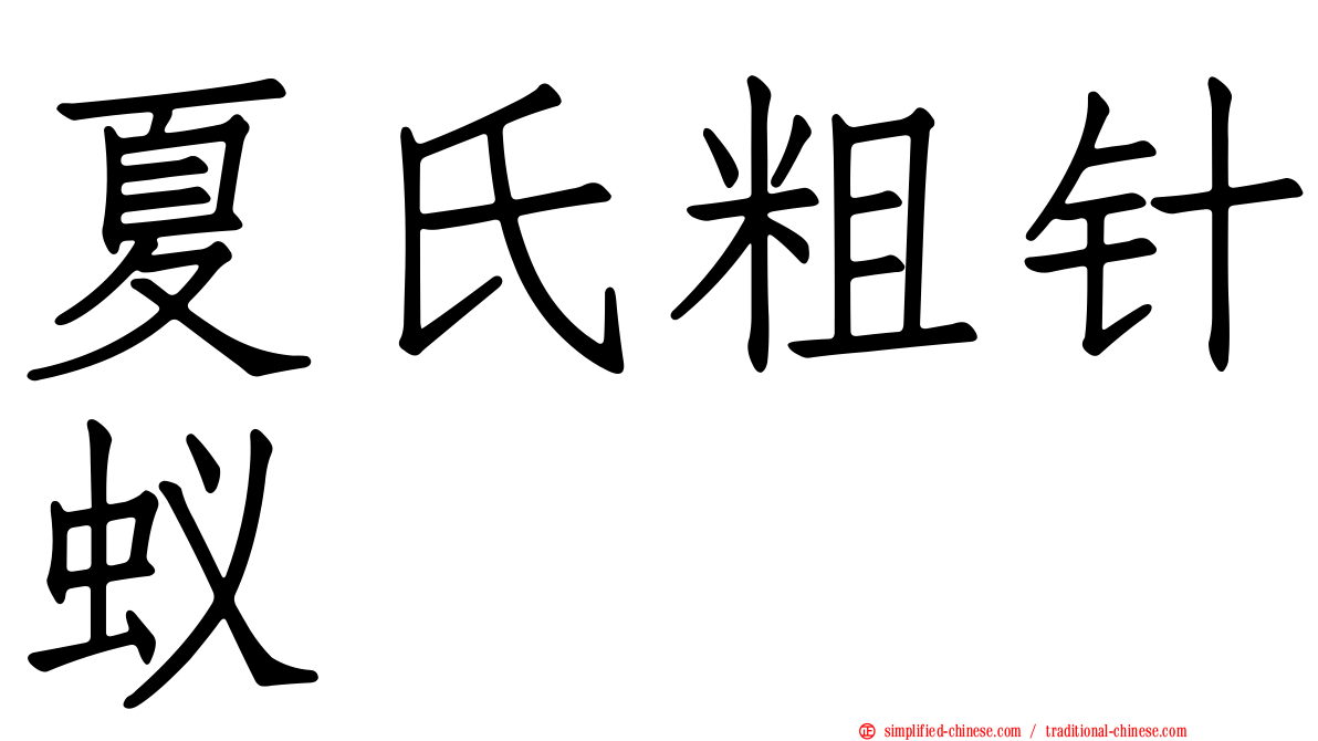 夏氏粗针蚁
