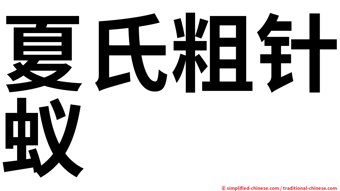 夏氏粗针蚁