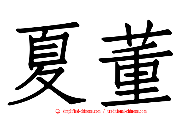 夏董