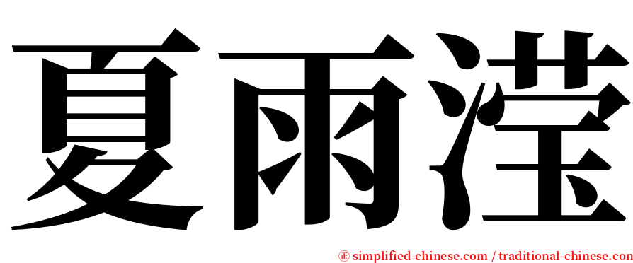 夏雨滢 serif font