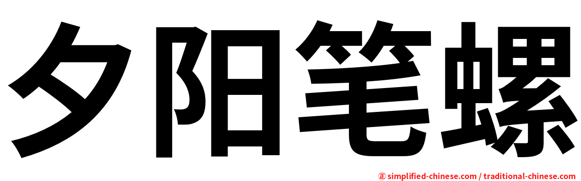 夕阳笔螺